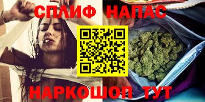 дмт Будённовск