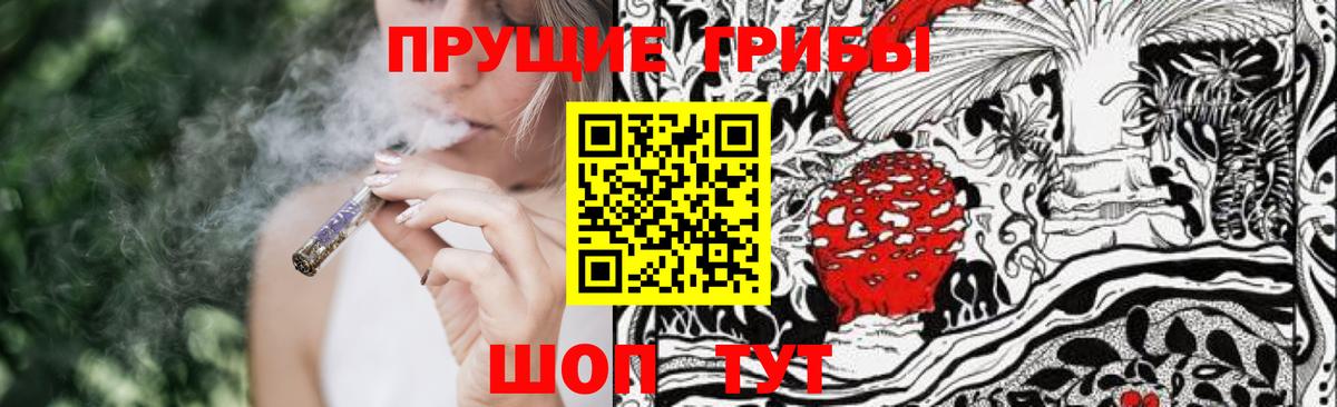 Искитим  Псилоцибиновые грибы прущие грибы  Вход с VPN 